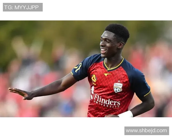 悉尼与西部联对决前瞻及比分预测分析，谁能赢得胜利